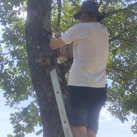 Aprender com a natureza, cuidar do futuro