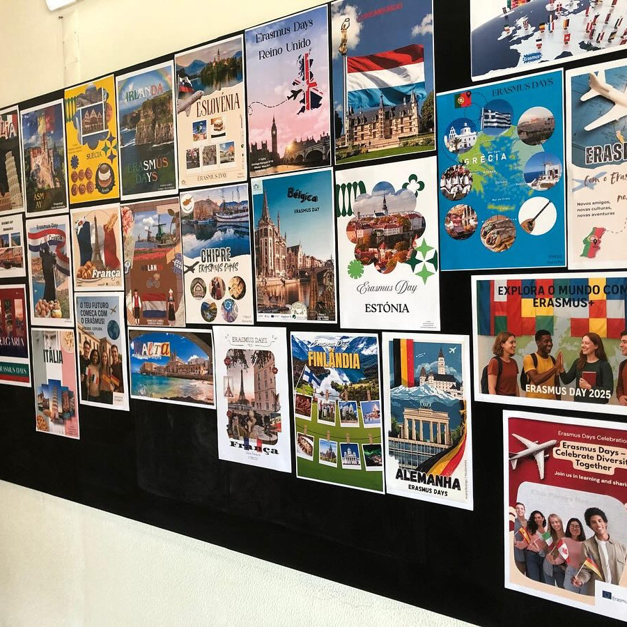 Erasmus Days no IDJV